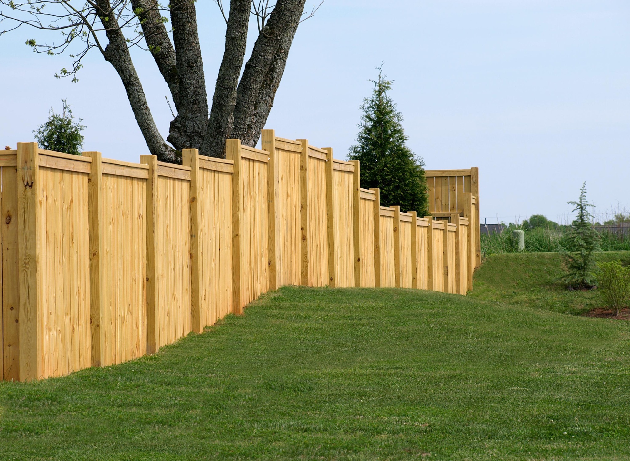 Cedar fence on hillside property