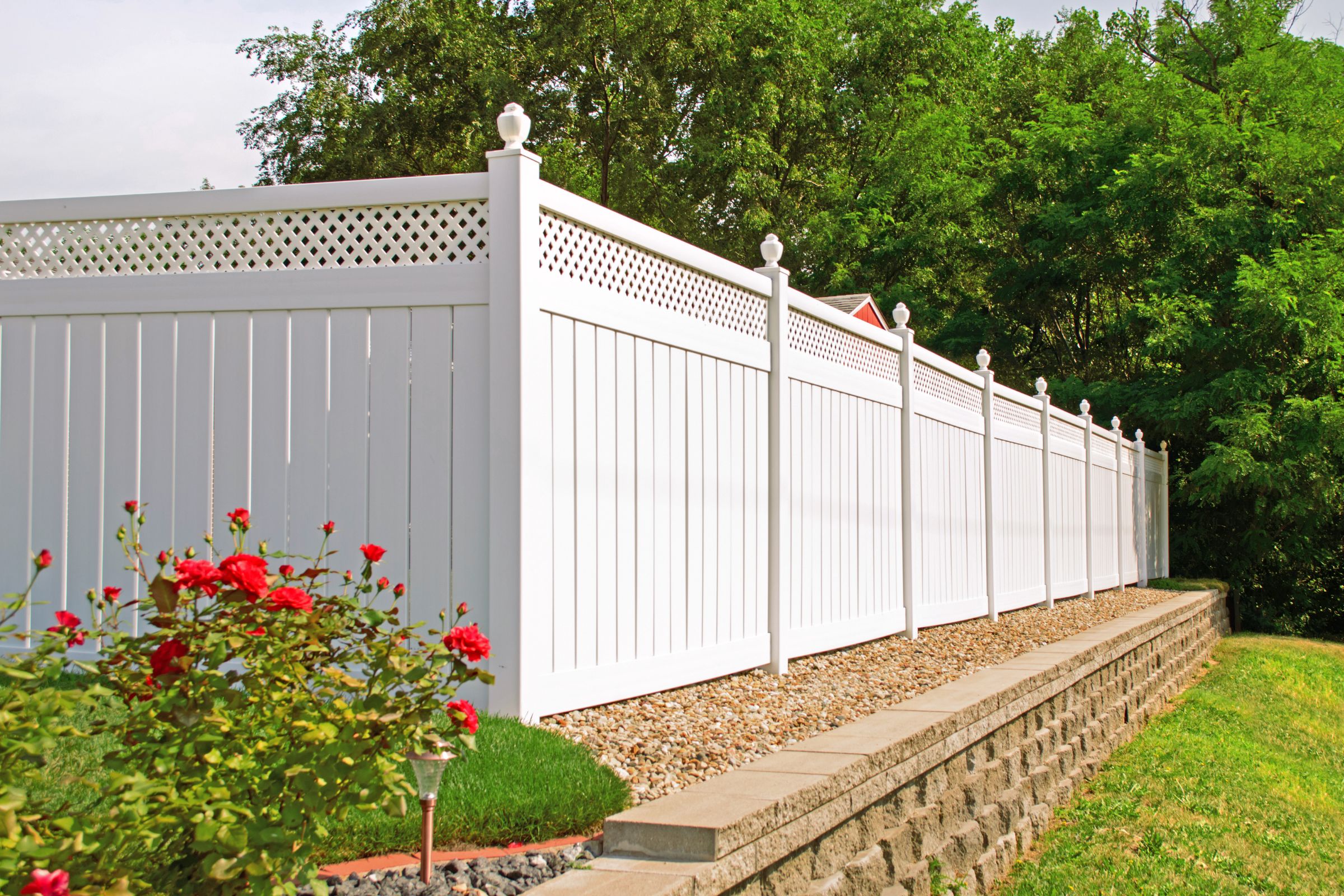 White vinyl fence with lattice and roses